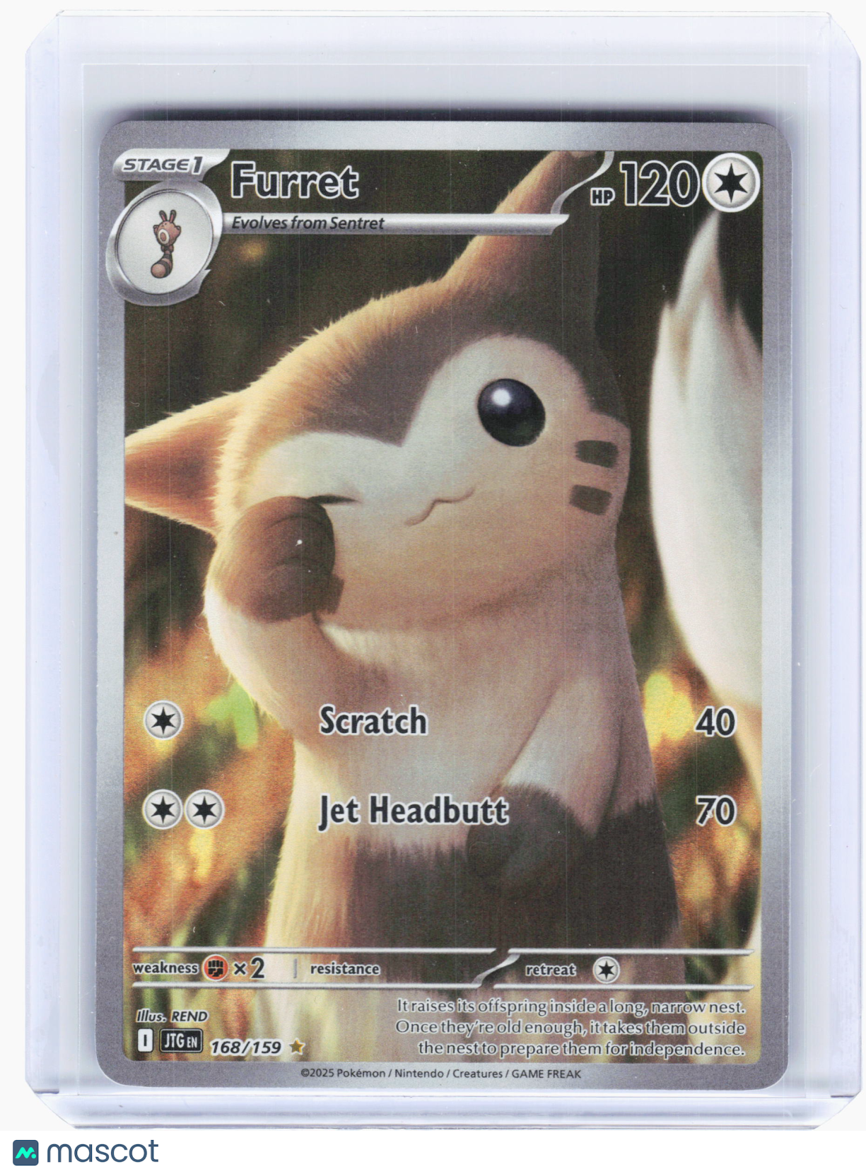 2025 Pokemon—Furret #168 Journey Together—Illustration Rare Holo [LP]