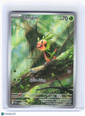2026 Pokemon—Chespin #87 Chaos Rising—Illustration Rare Holo