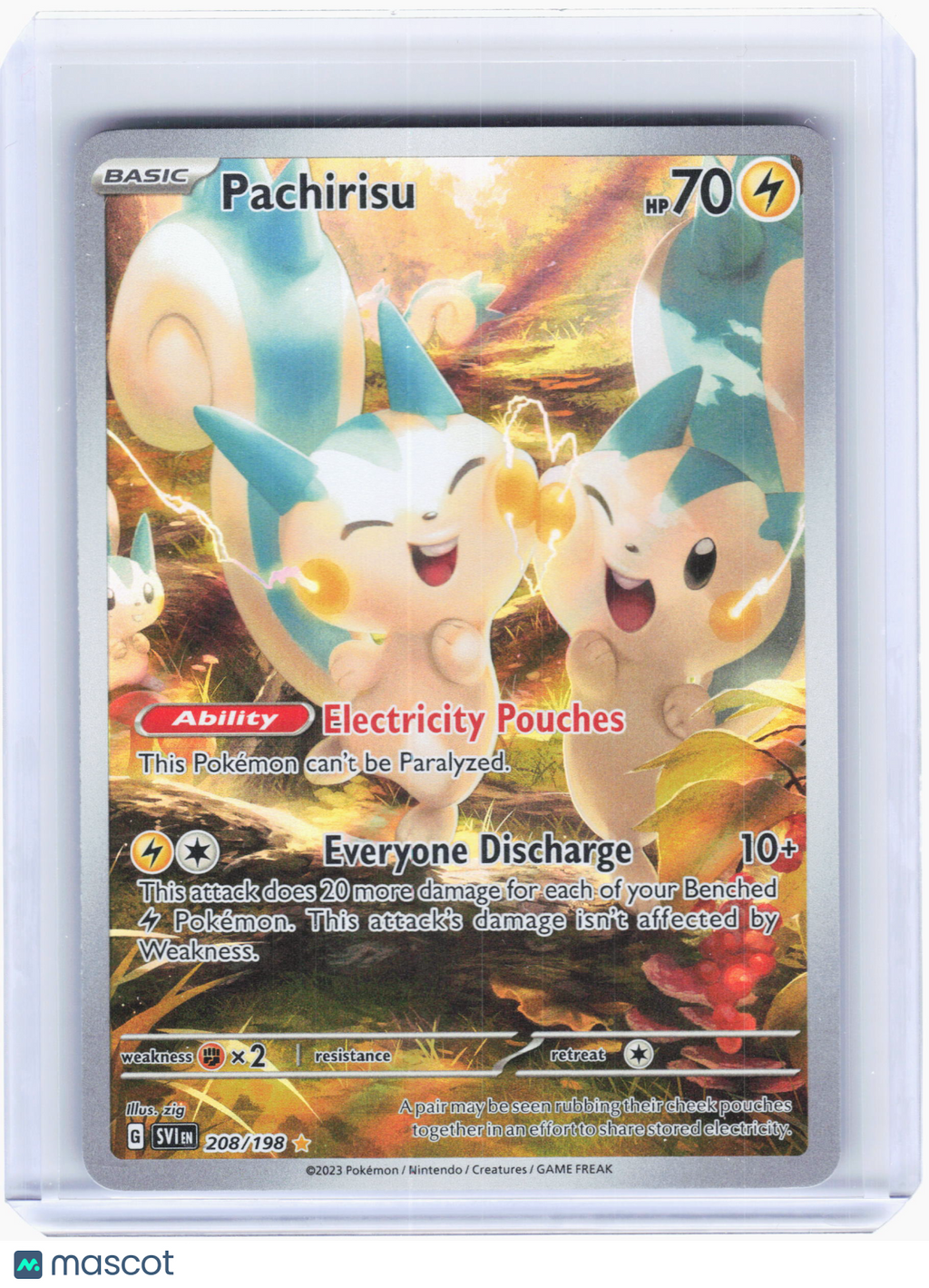 2023 Pokemon—Pachirisu #208 Scarlet & Violet Base Set—Illustration Rare Holo