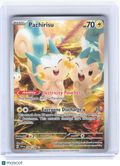 2023 Pokemon—Pachirisu #208 Scarlet & Violet Base Set—Illustration Rare Holo