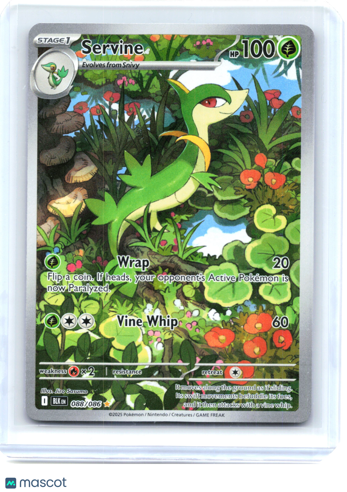 2025 Pokemon—Servine #088/086 Black Bolt—Illustration Rare Holo