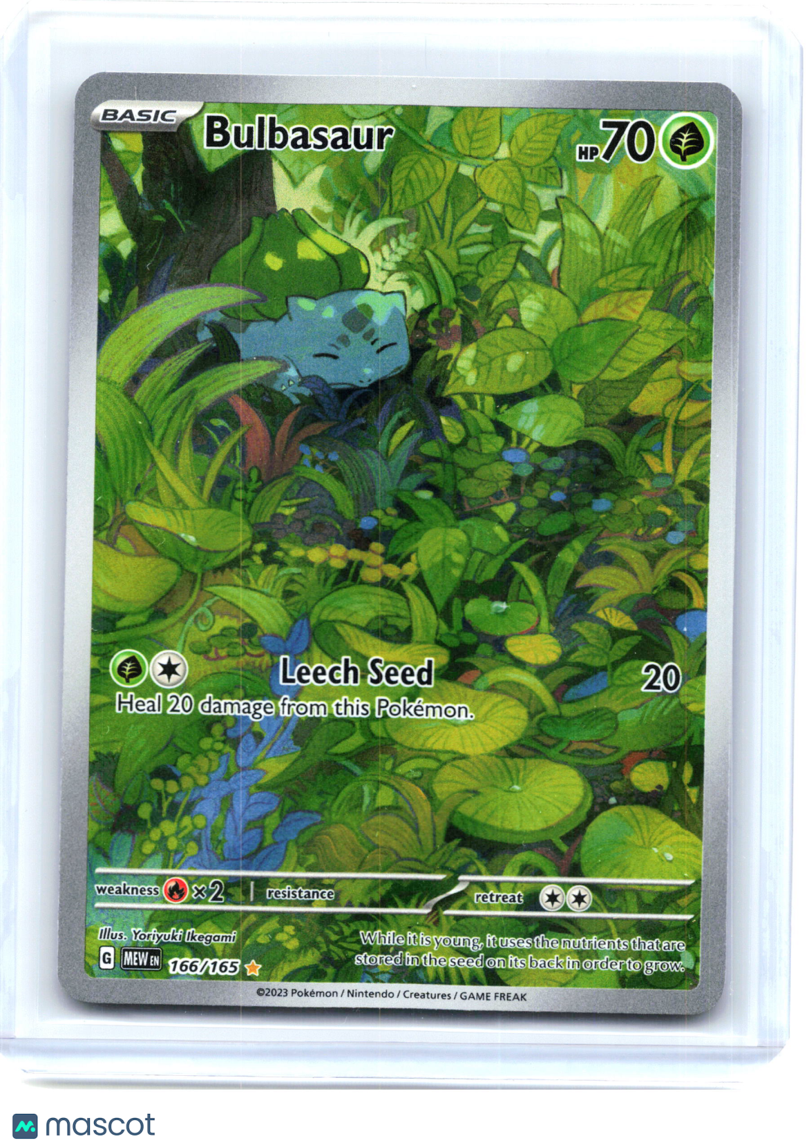 2023 Pokemon—Bulbasaur #166/165 Scarlet & Violet 151—Illustration Rare Holo [LP]