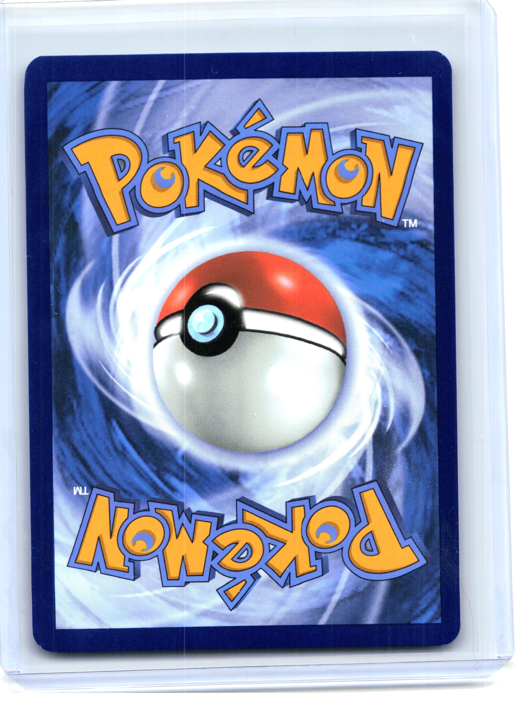 2025 Pokemon—Feraligatr #213 Scarlet & Violet Promo Cards—Black Star Promo Holo