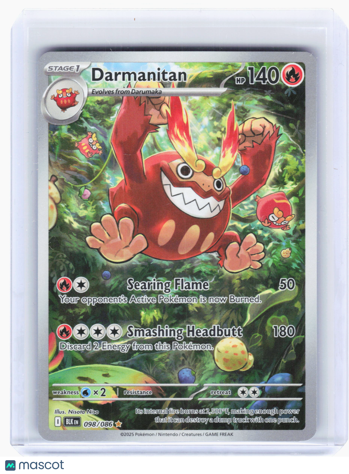 2025 Pokemon—Darmanitan #98 Black Bolt—Illustration Rare Holo [Lightly Played]