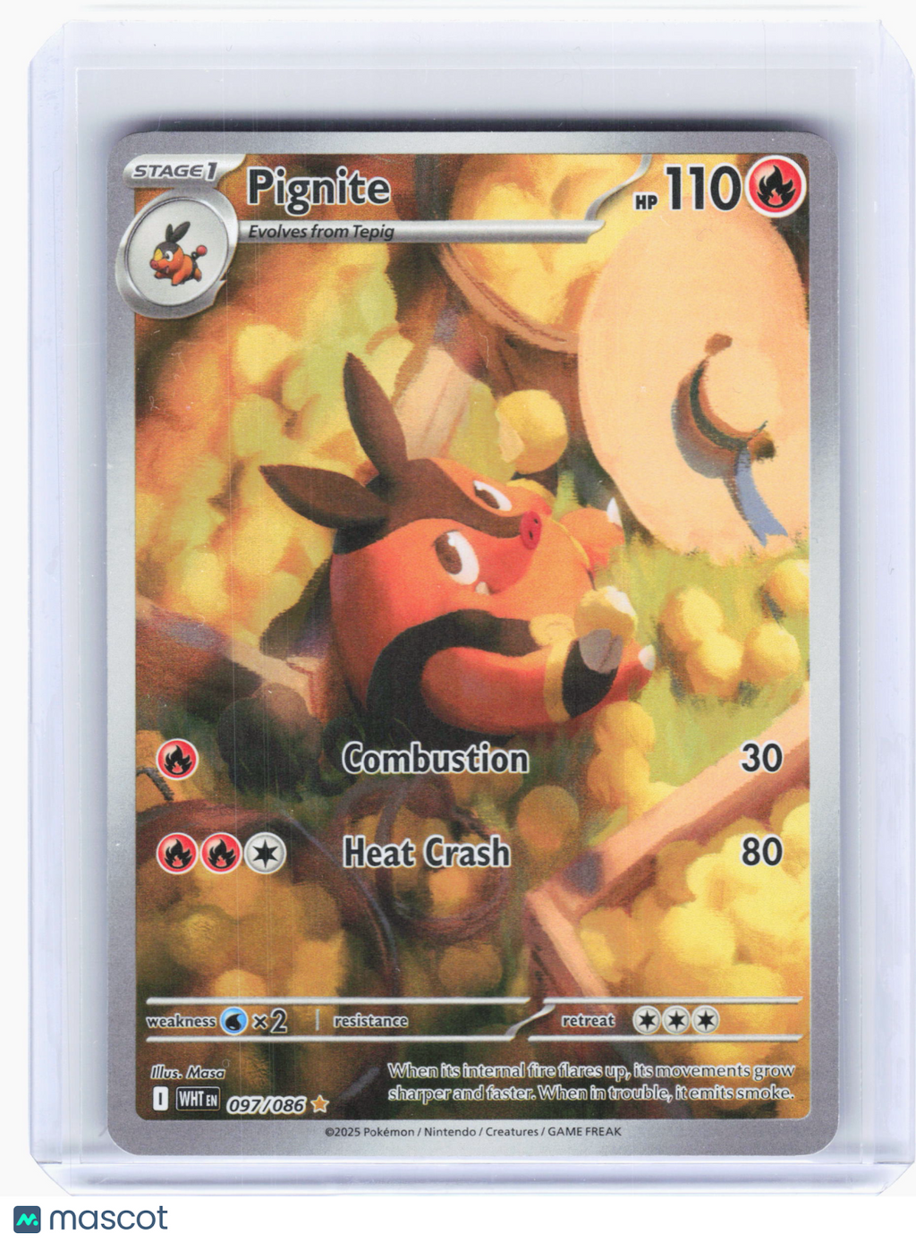 2025 Pokemon—Pignite #97 White Flare—Illustration Rare Holo
