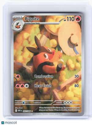 2025 Pokemon—Pignite #97 White Flare—Illustration Rare Holo