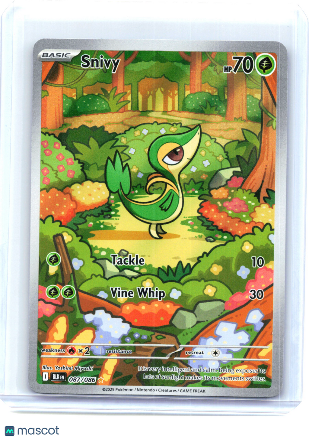 2025 Pokemon—Snivy #87/86 Black Bolt—Illustration Rare Holo