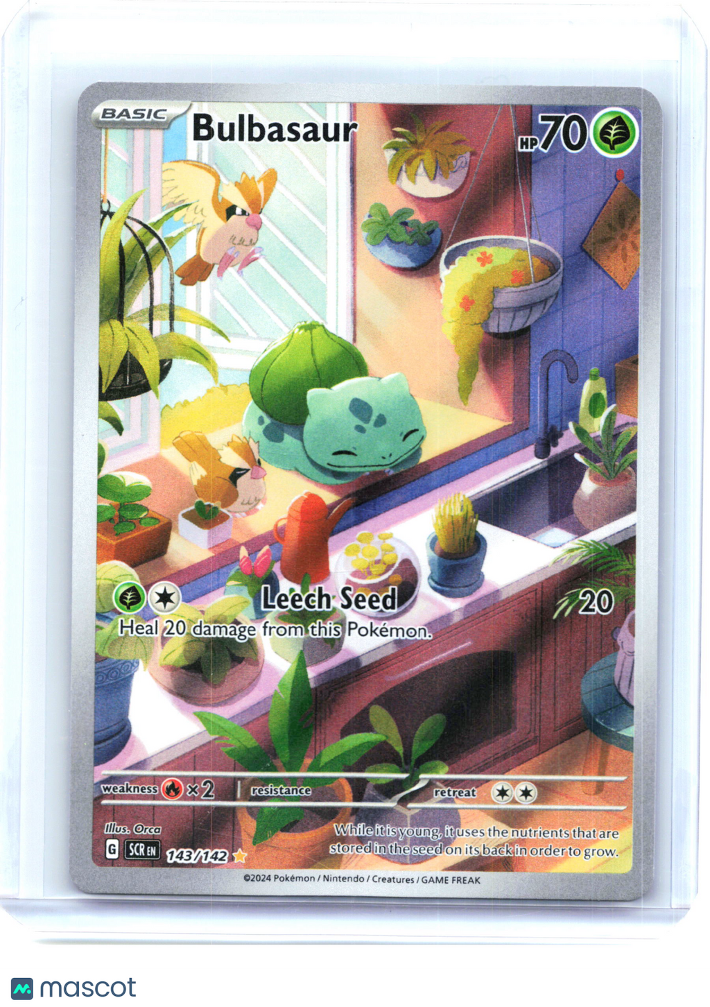 2024 Pokemon—Bulbasaur #143/142 Stellar Crown—Illustration Rare Holo