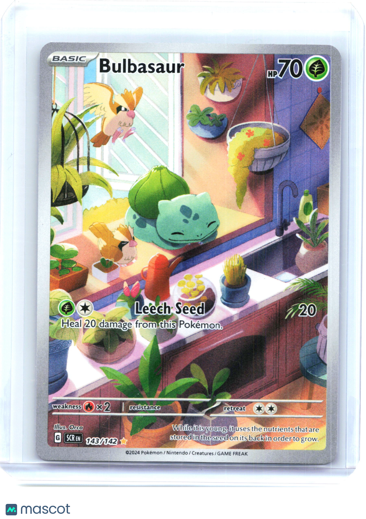 2024 Pokemon—Bulbasaur #143/142 Stellar Crown—Illustration Rare Holo