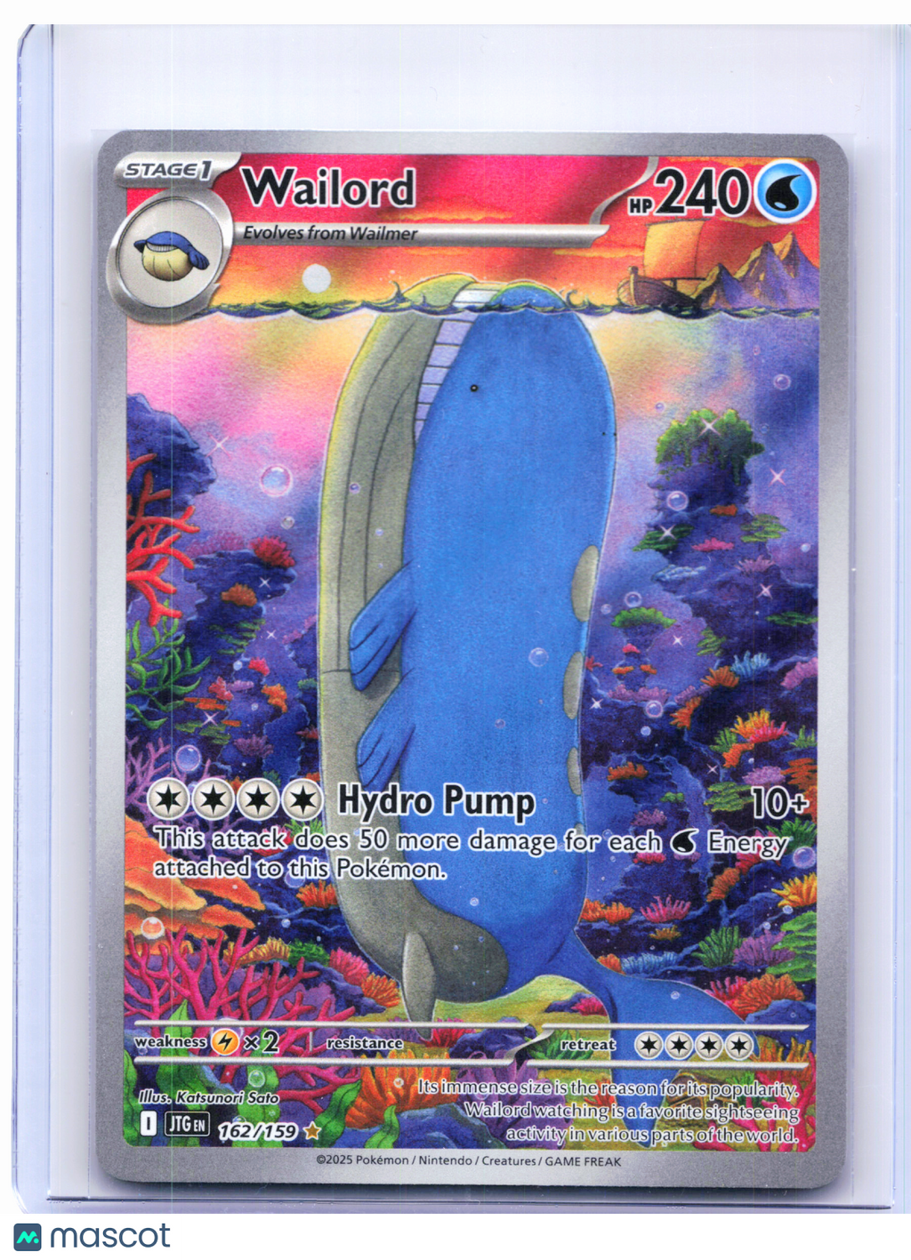 2025 Pokemon—Wailord #162/159 Journey Together—Illustration Rare Holo