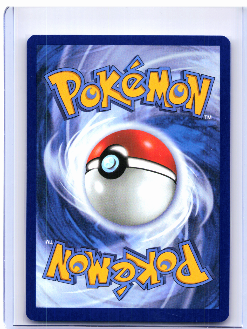 2025 Pokemon—Wailord #162/159 Journey Together—Illustration Rare Holo