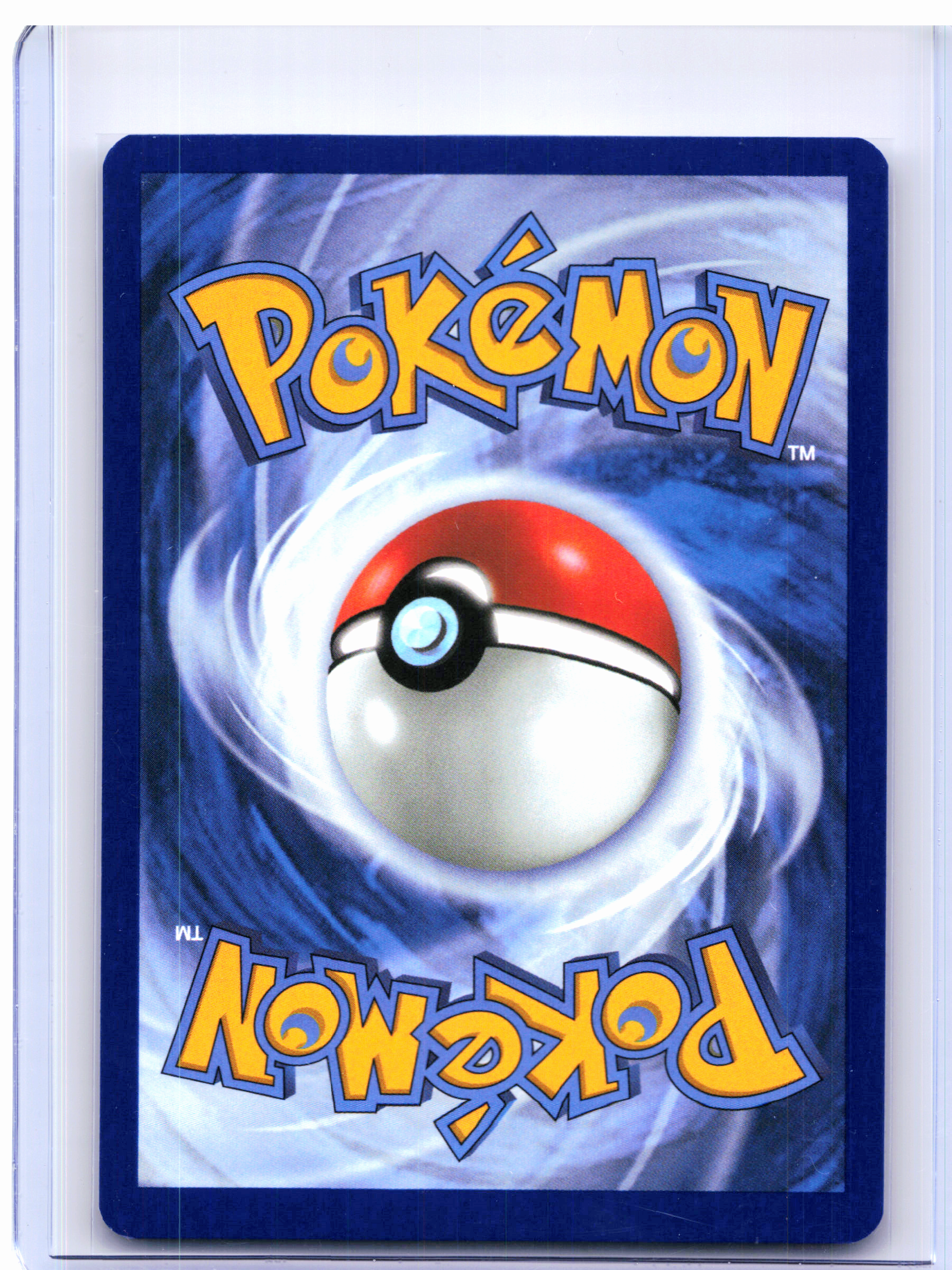 2025 Pokemon—Wailord #162/159 Journey Together—Illustration Rare Holo