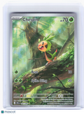 2026 Pokemon—Chespin #87 Chaos Rising—Illustration Rare Holo
