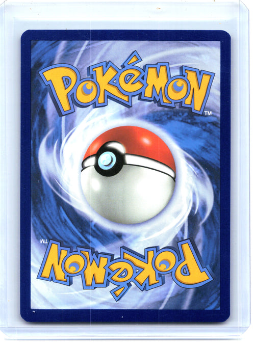 2024 Pokemon—Pikachu #088 Scarlet & Violet Promo Cards—Black Star Promo Holo