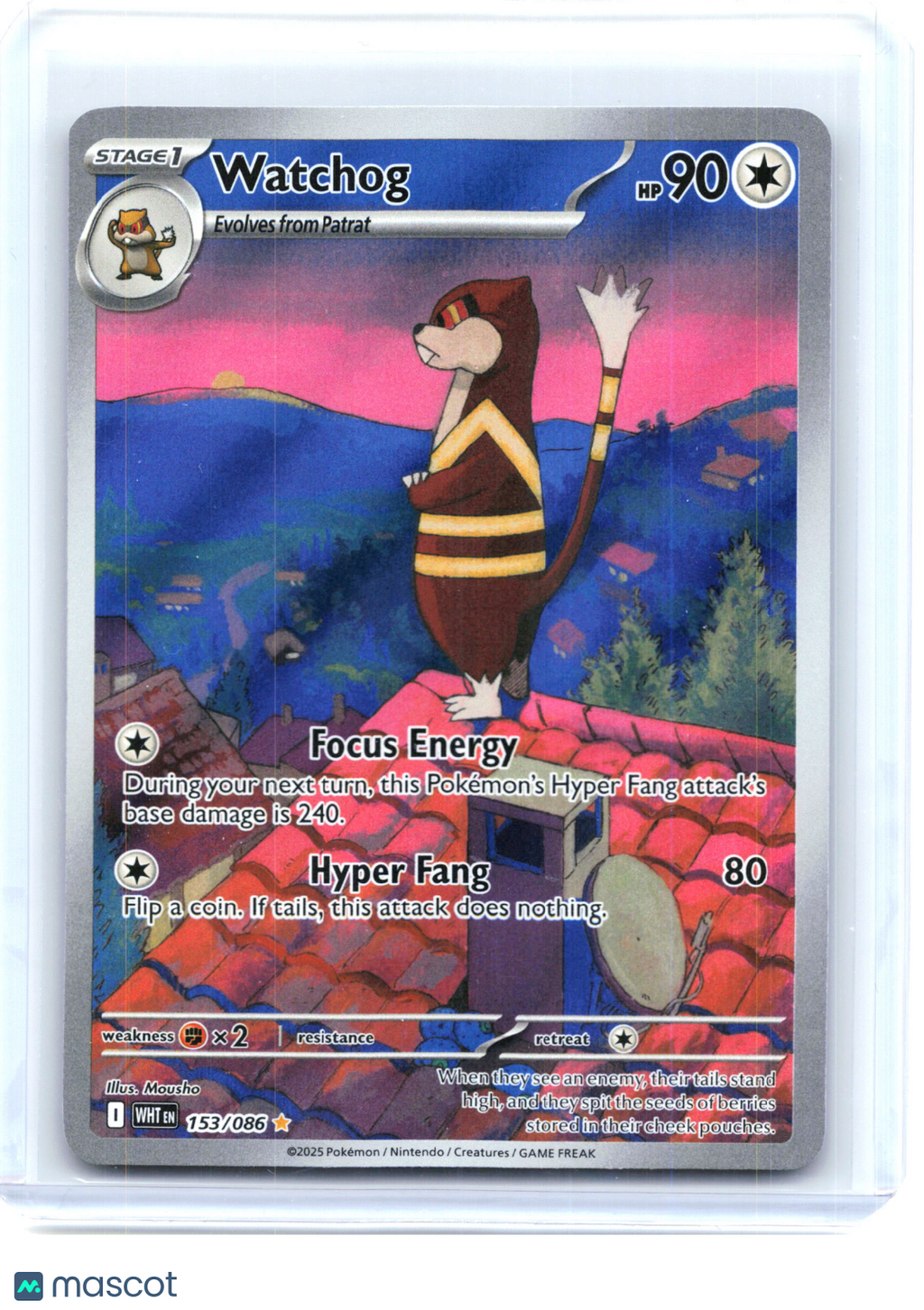 2025 Pokemon—Watchog 153/086 White Flare—Illustration Rare Holo [Lightly Played]