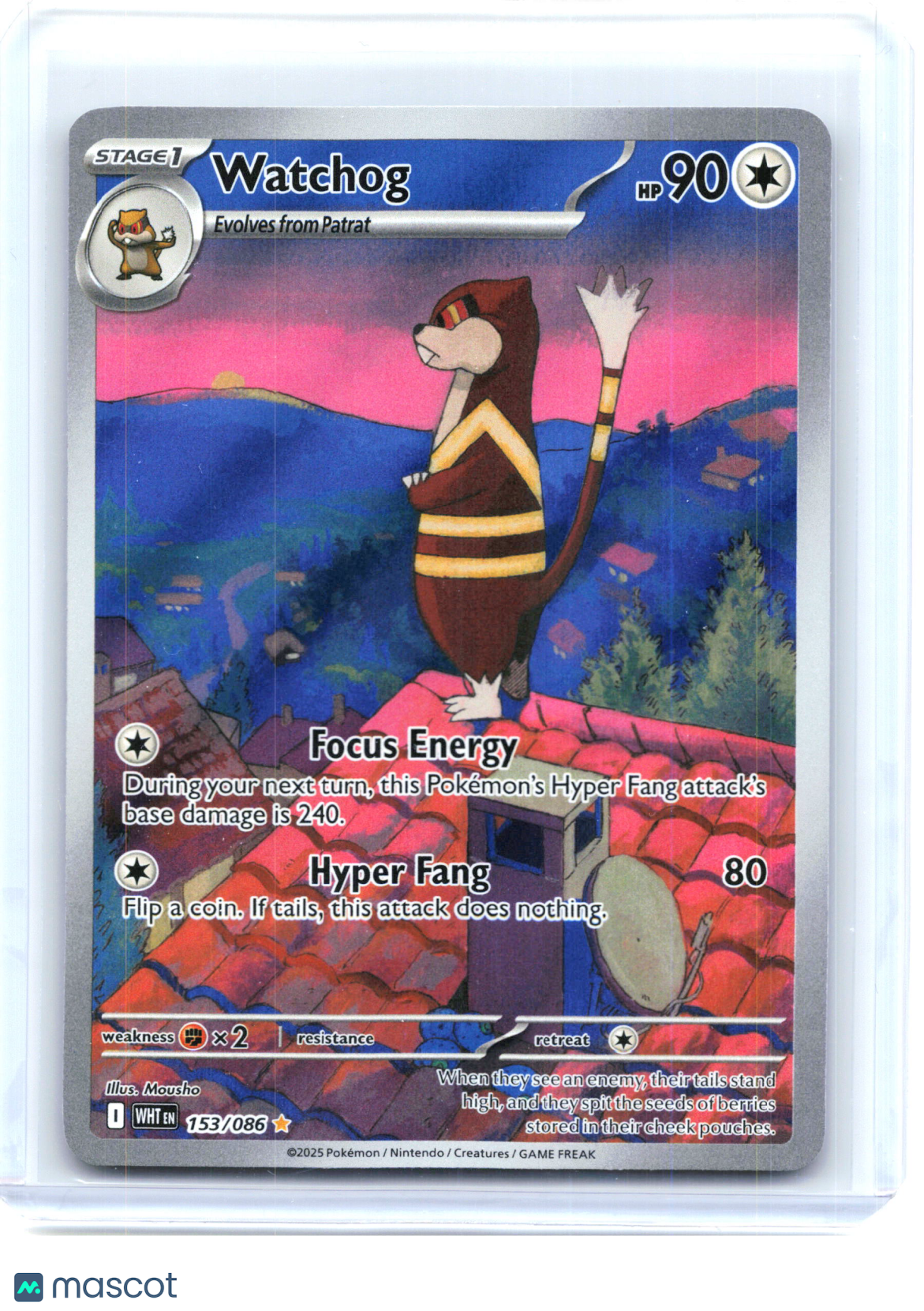 2025 Pokemon—Watchog 153/086 White Flare—Illustration Rare Holo [Lightly Played]