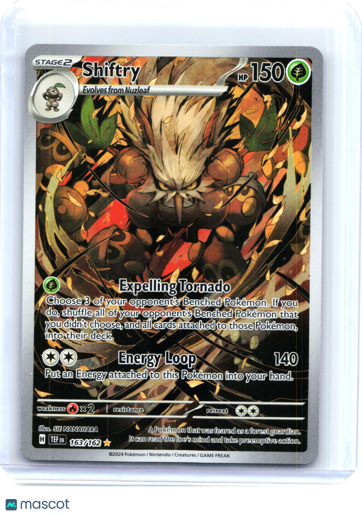 2024 Shiftry #163/162 Temporal Forces—Illustration Rare Holo [Lightly Played]