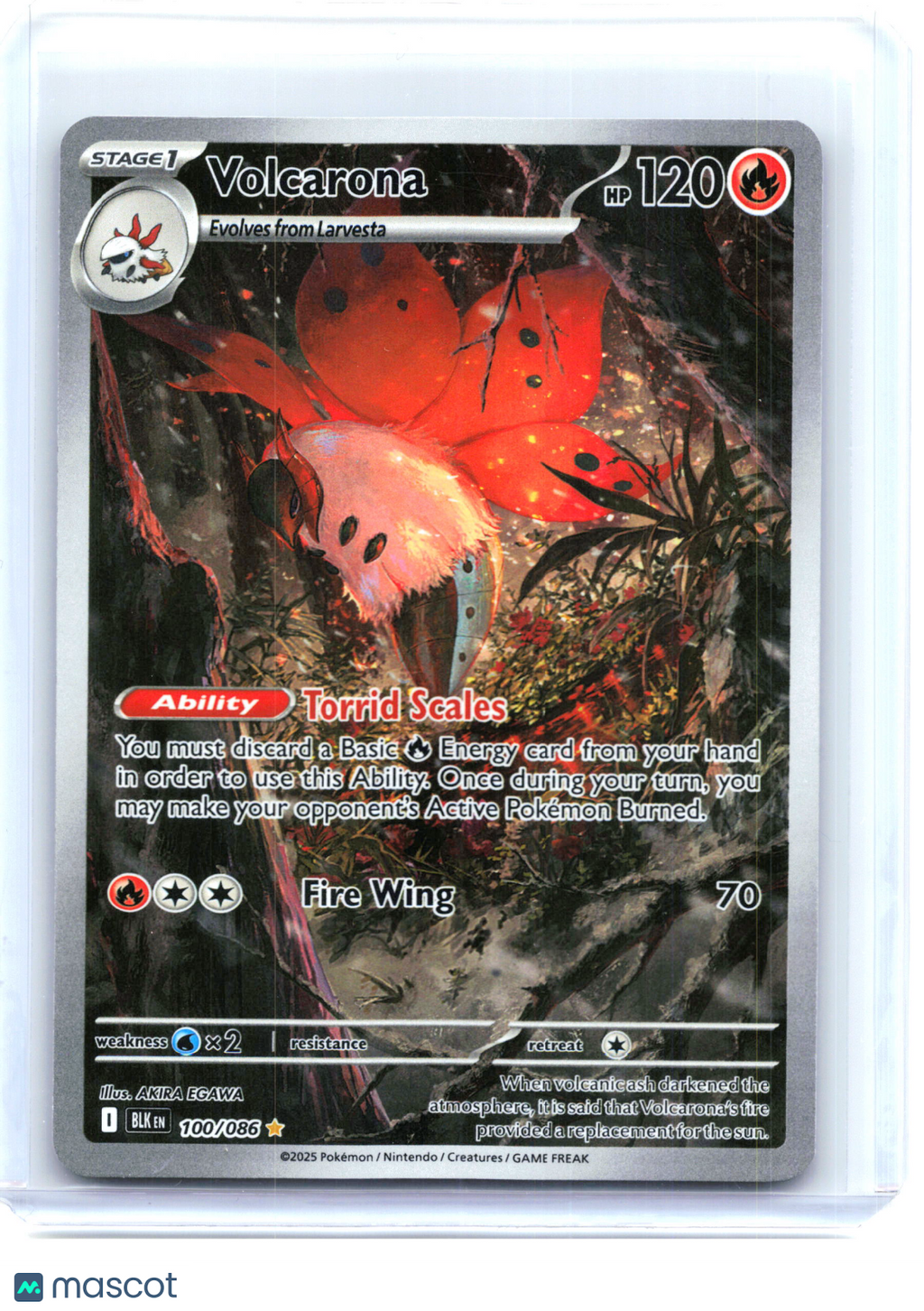 2025 Pokemon—Volcarona #100/086 Black Bolt—Illustration Rare Holo