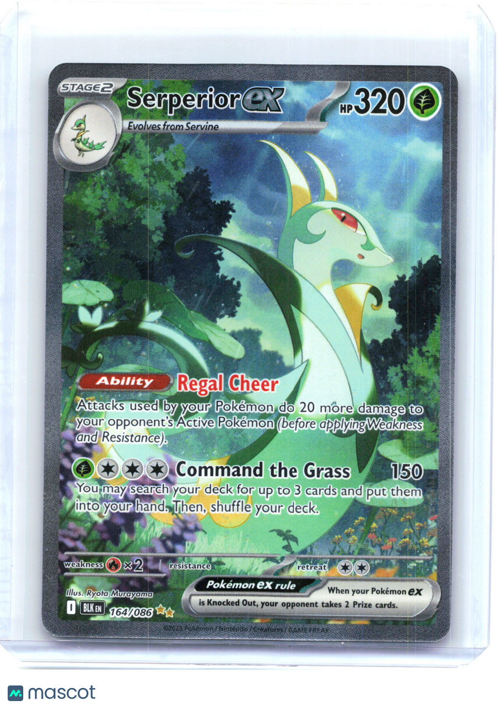 2025 Pokemon—Serperior ex #164/086 Black Bolt—Special Illustration Rare Holo