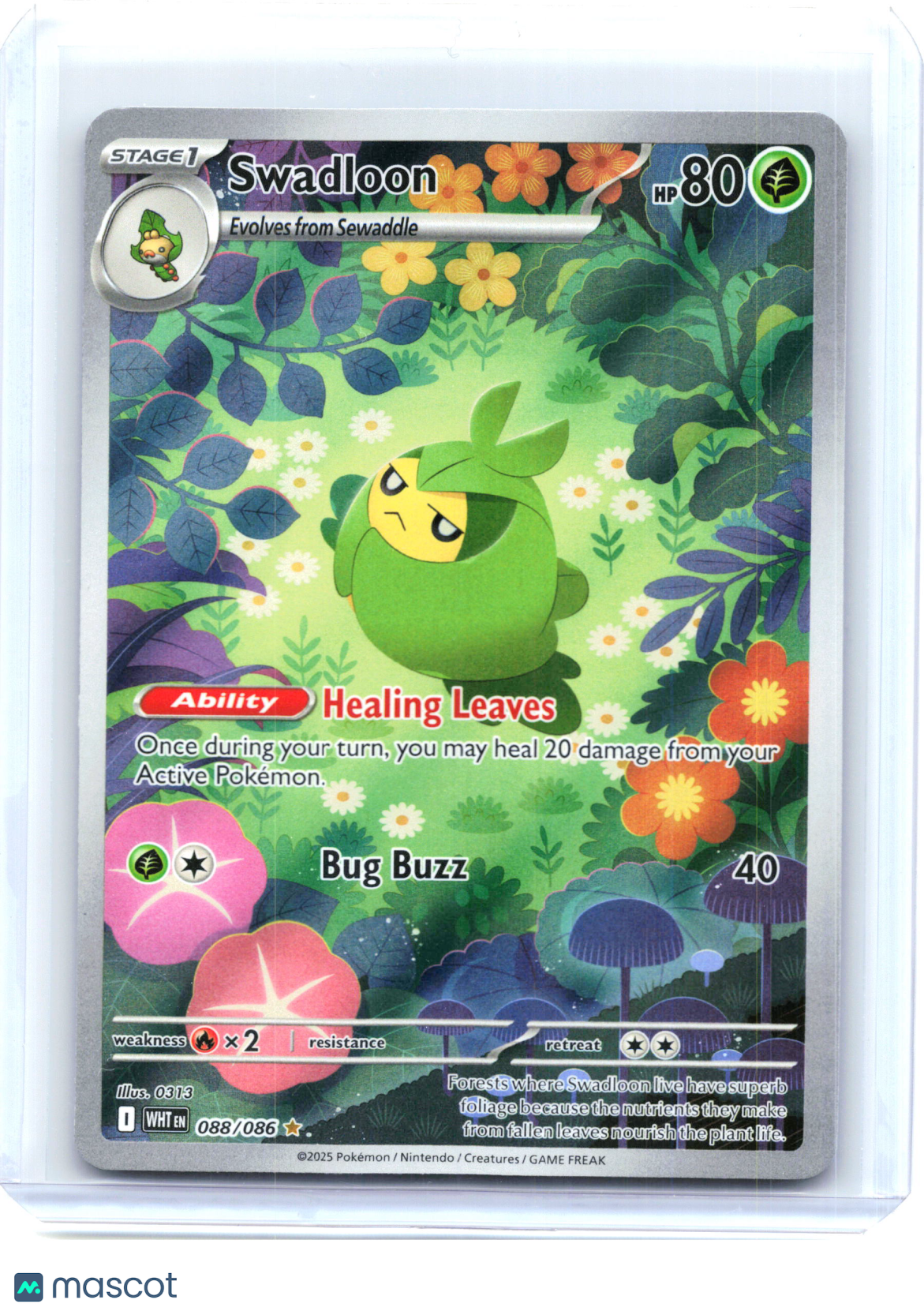 2025 Pokemon—Swadloon #088/086 White Flare—Illustration Rare Holo