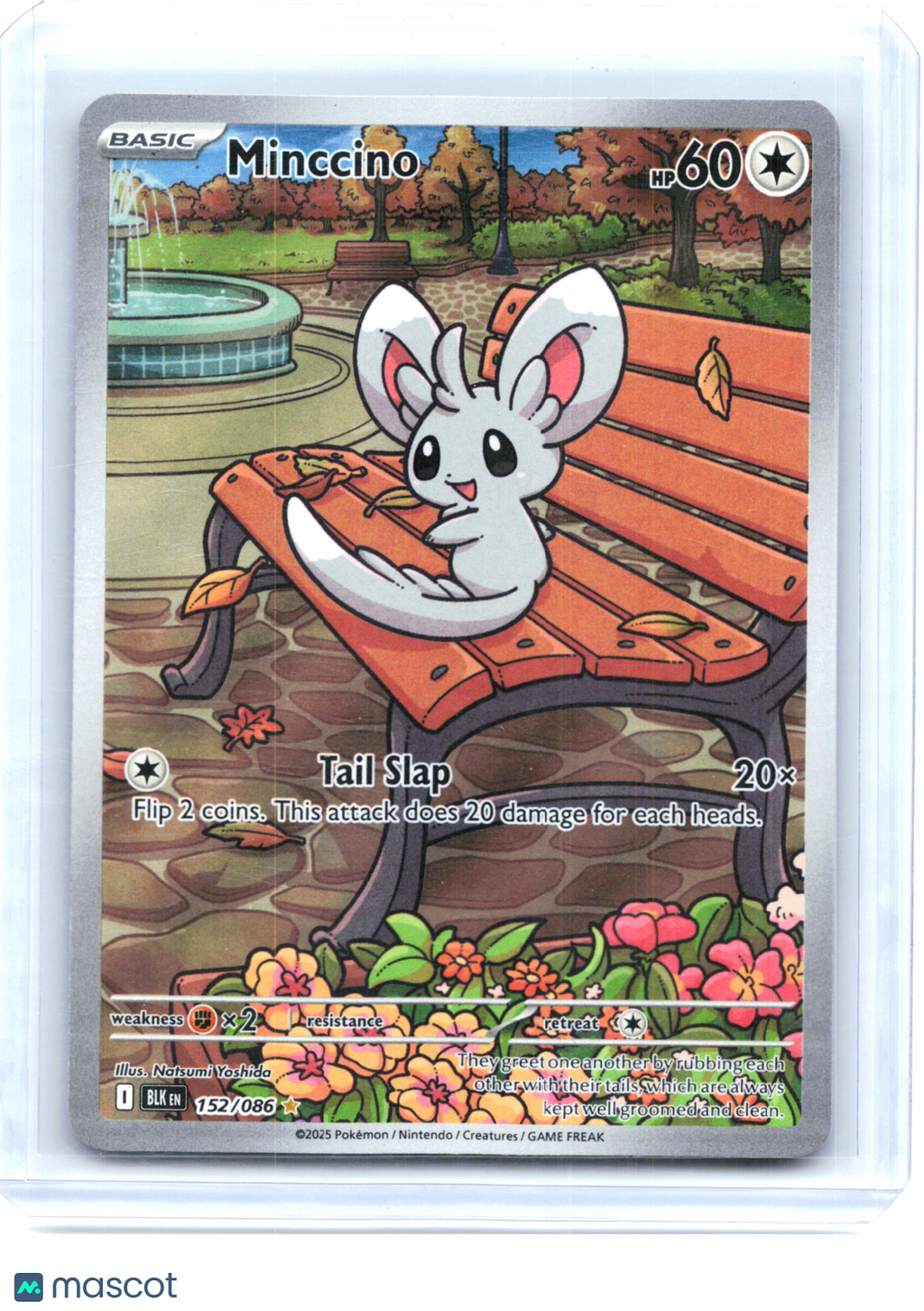 2025 Pokemon—Minccino #152/086 Black Bolt—Illustration Rare Holo