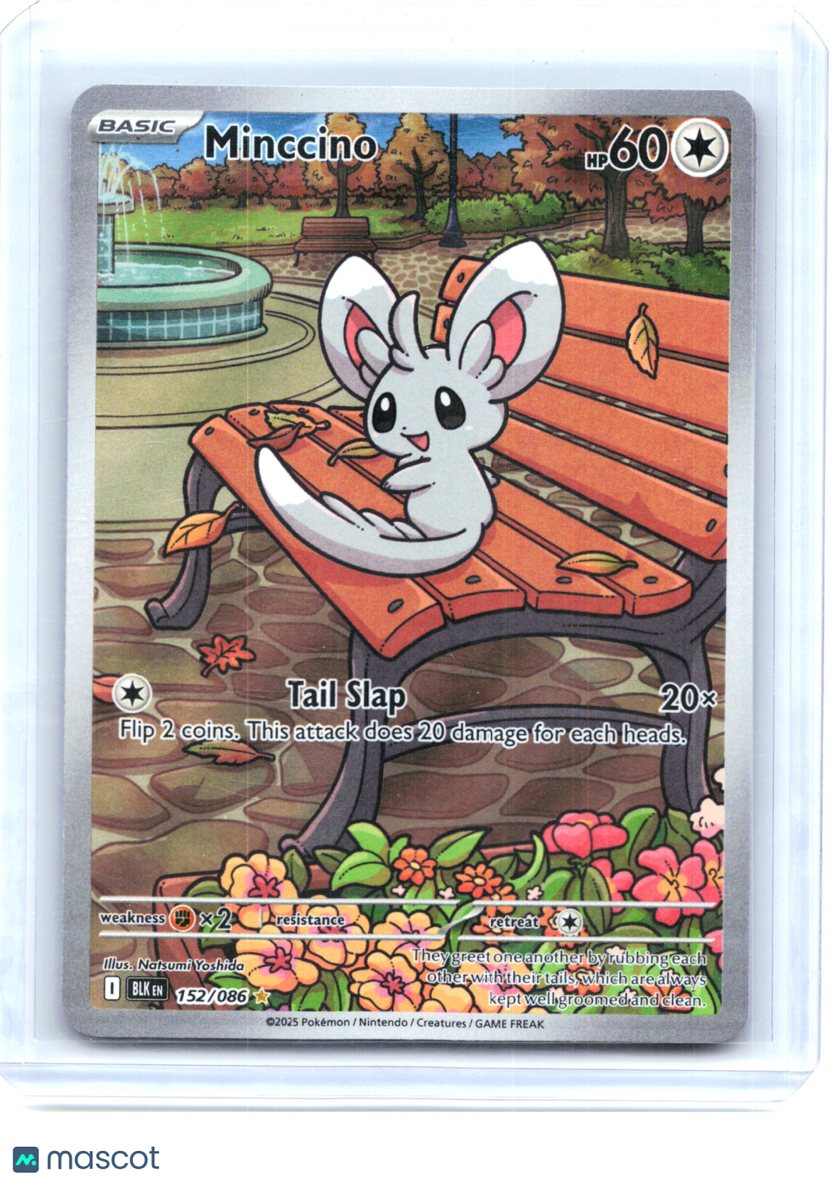 2025 Pokemon—Minccino #152/086 Black Bolt—Illustration Rare Holo