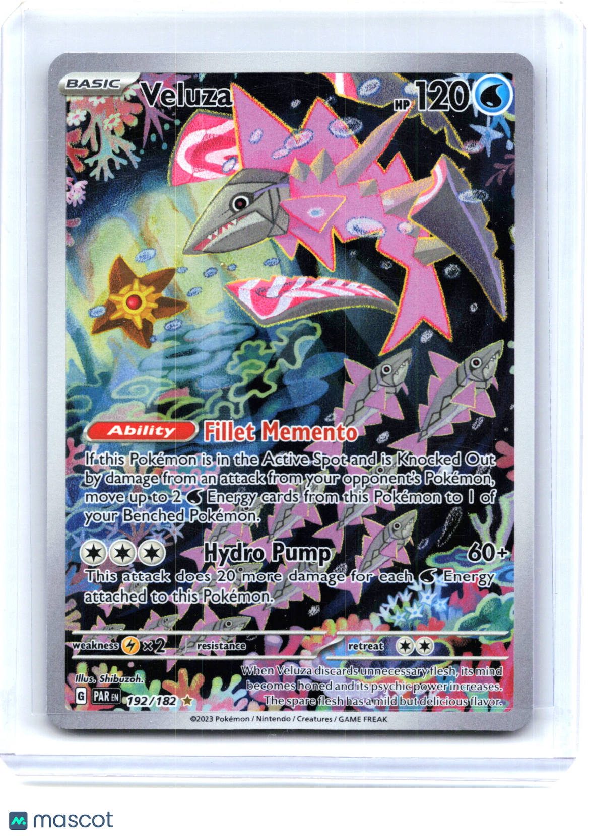2023 Pokemon—Veluza #192/182 Paradox Rift—Illustration Rare Holo