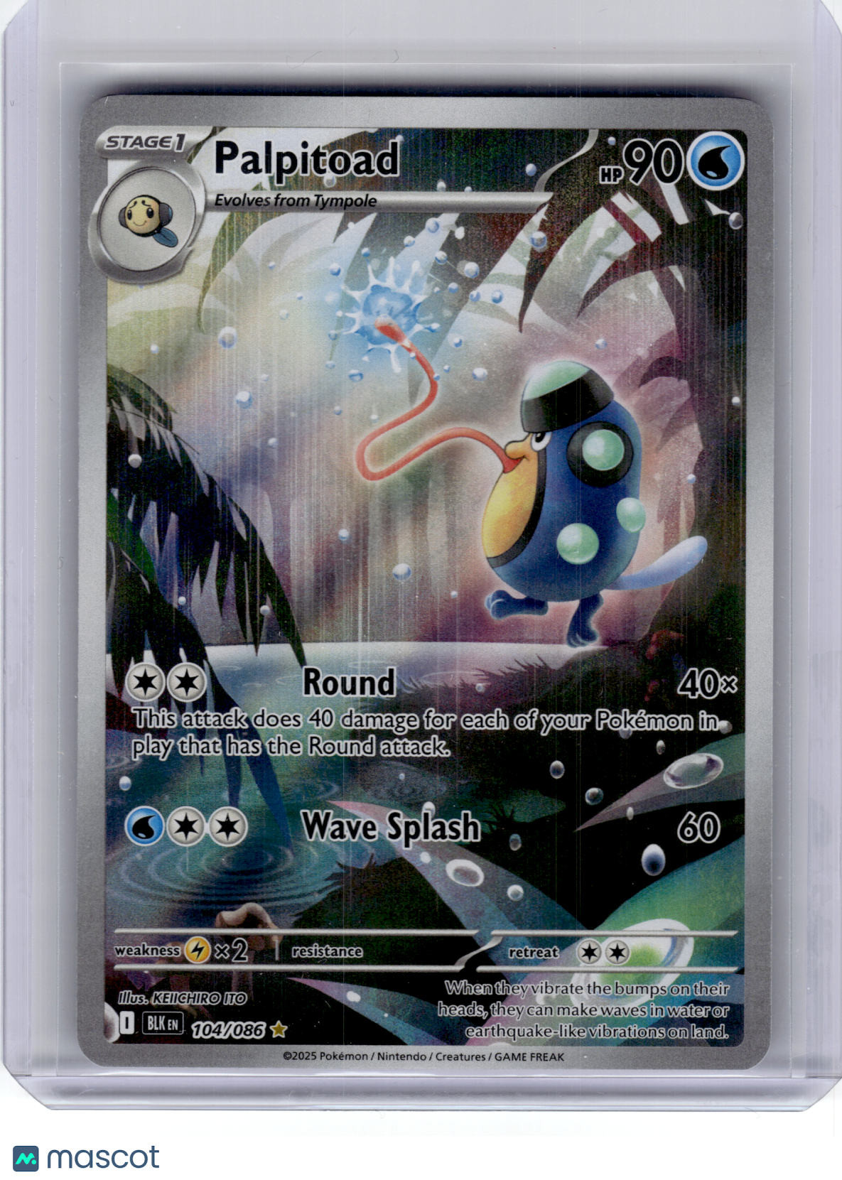 2025 Pokemon—Palpitoad #104 Black Bolt—Illustration Rare Holo