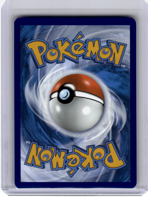 2025 Pokemon—Palpitoad #104 Black Bolt—Illustration Rare Holo