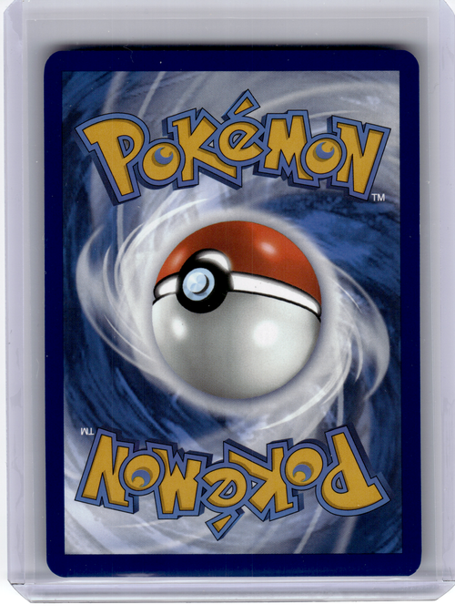 2025 Pokemon—Eevee #173 Scarlet & Violet—Black Star Promo Holo [Lightly Played]