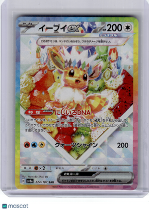 2024 Pokemon—Eevee EX #224 Sv8a: Terastal Fest Ex—Special Art Rare Holo Japanese