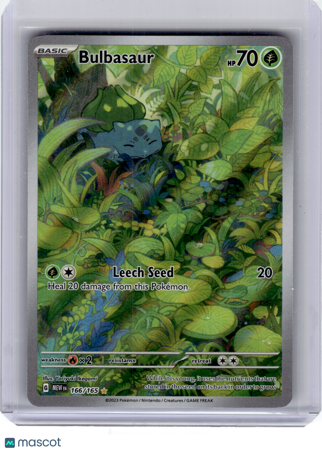 2023 Pokemon—Bulbasaur #166 Scarlet & Violet 151—Illustration Rare Holo