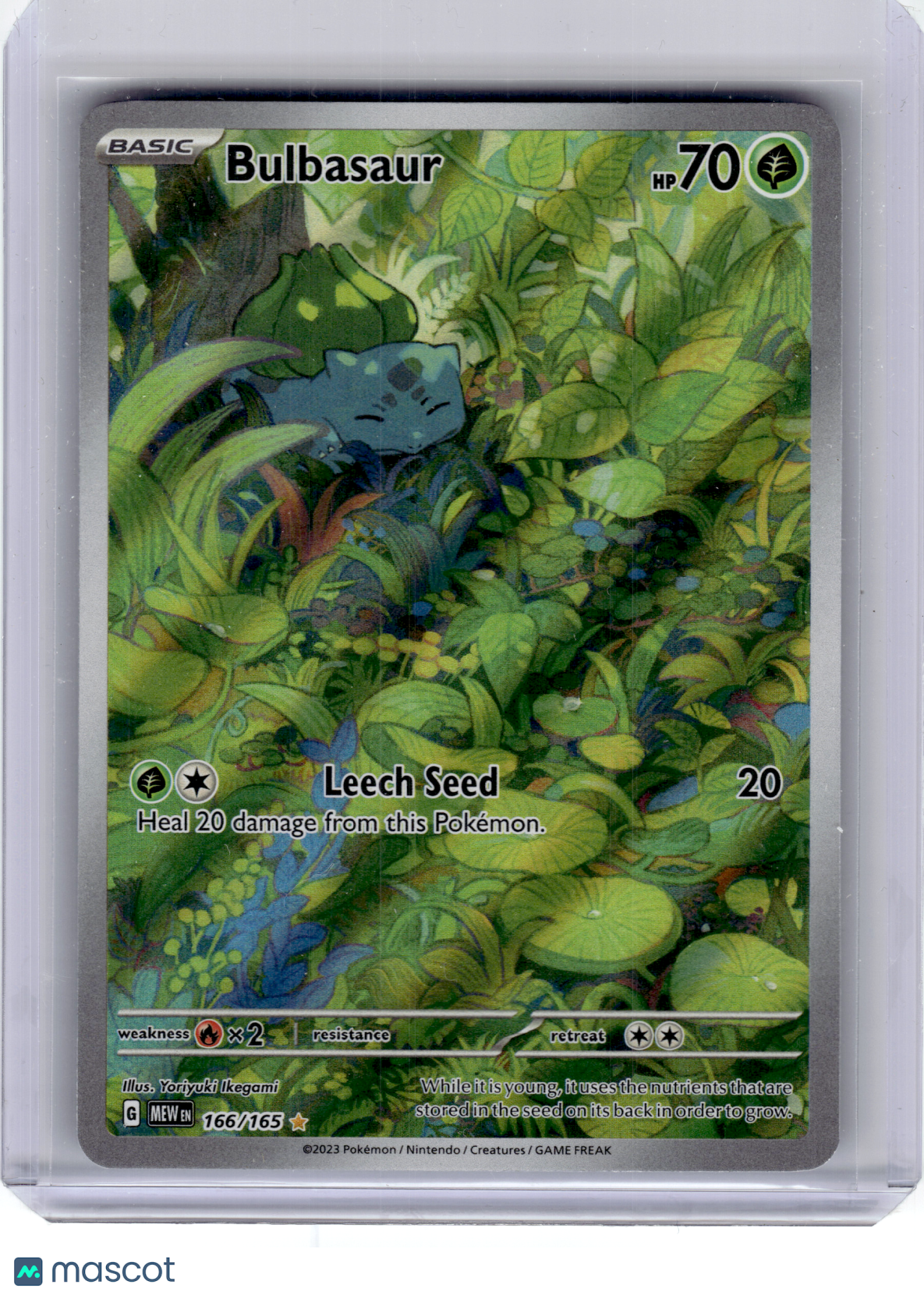 2023 Pokemon—Bulbasaur #166 Scarlet & Violet 151—Illustration Rare Holo