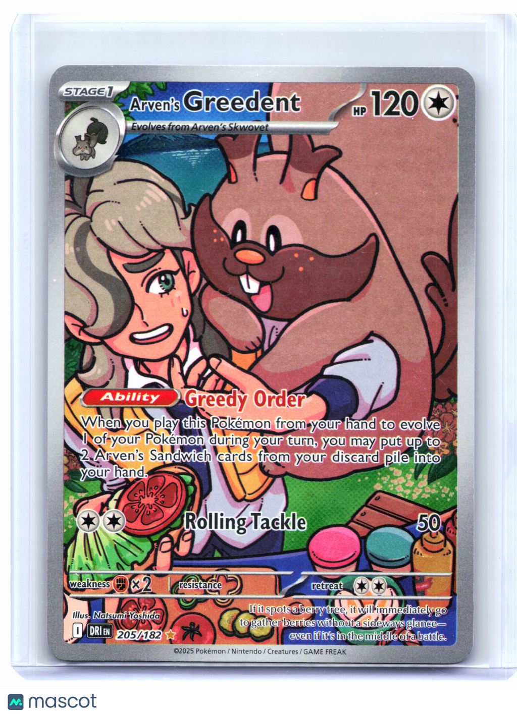 2025 Pokemon—Arven's Greedent #205/182 Destined Rivals—Illustration Rare Holo