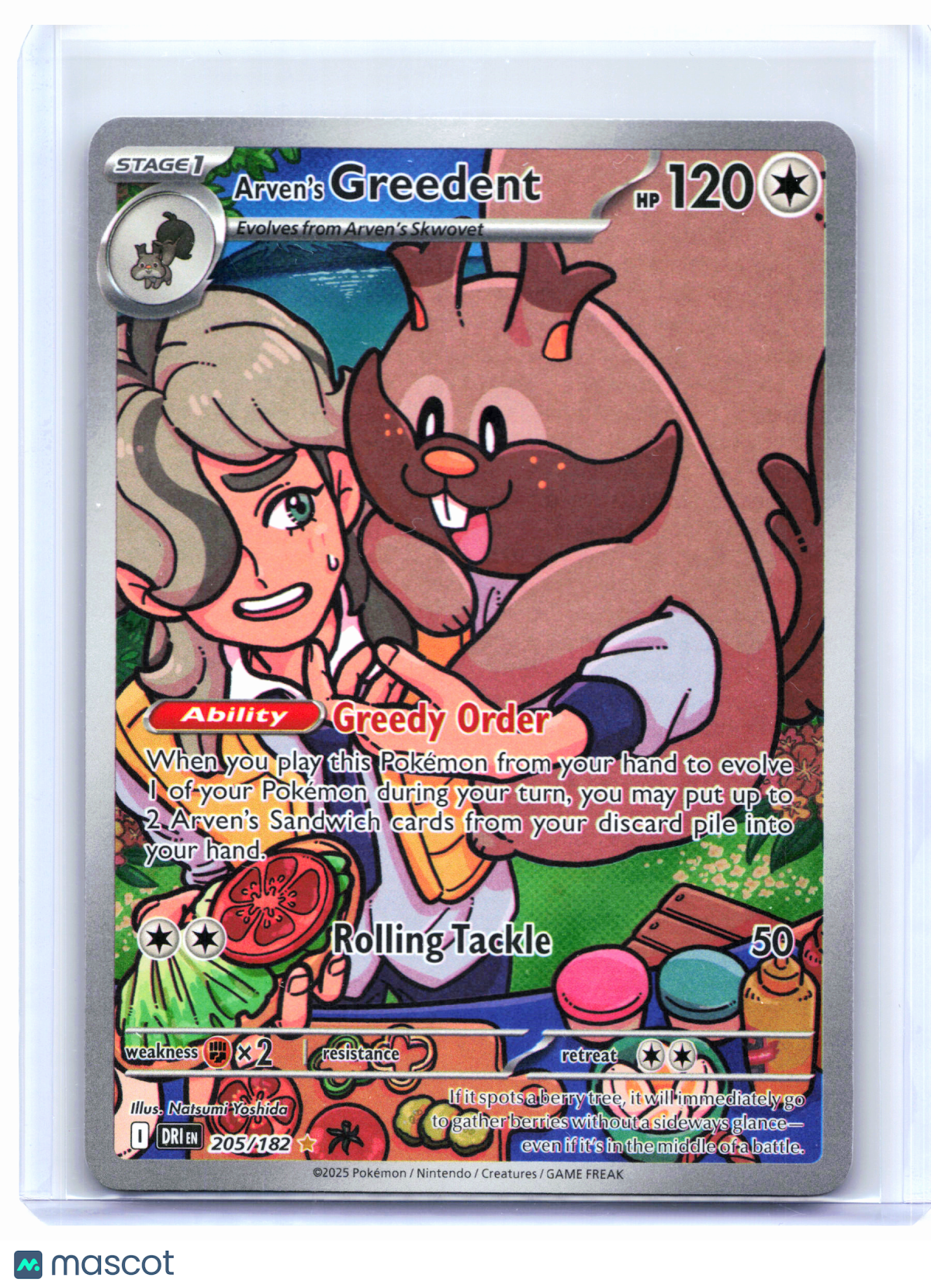 2025 Pokemon—Arven's Greedent #205/182 Destined Rivals—Illustration Rare Holo