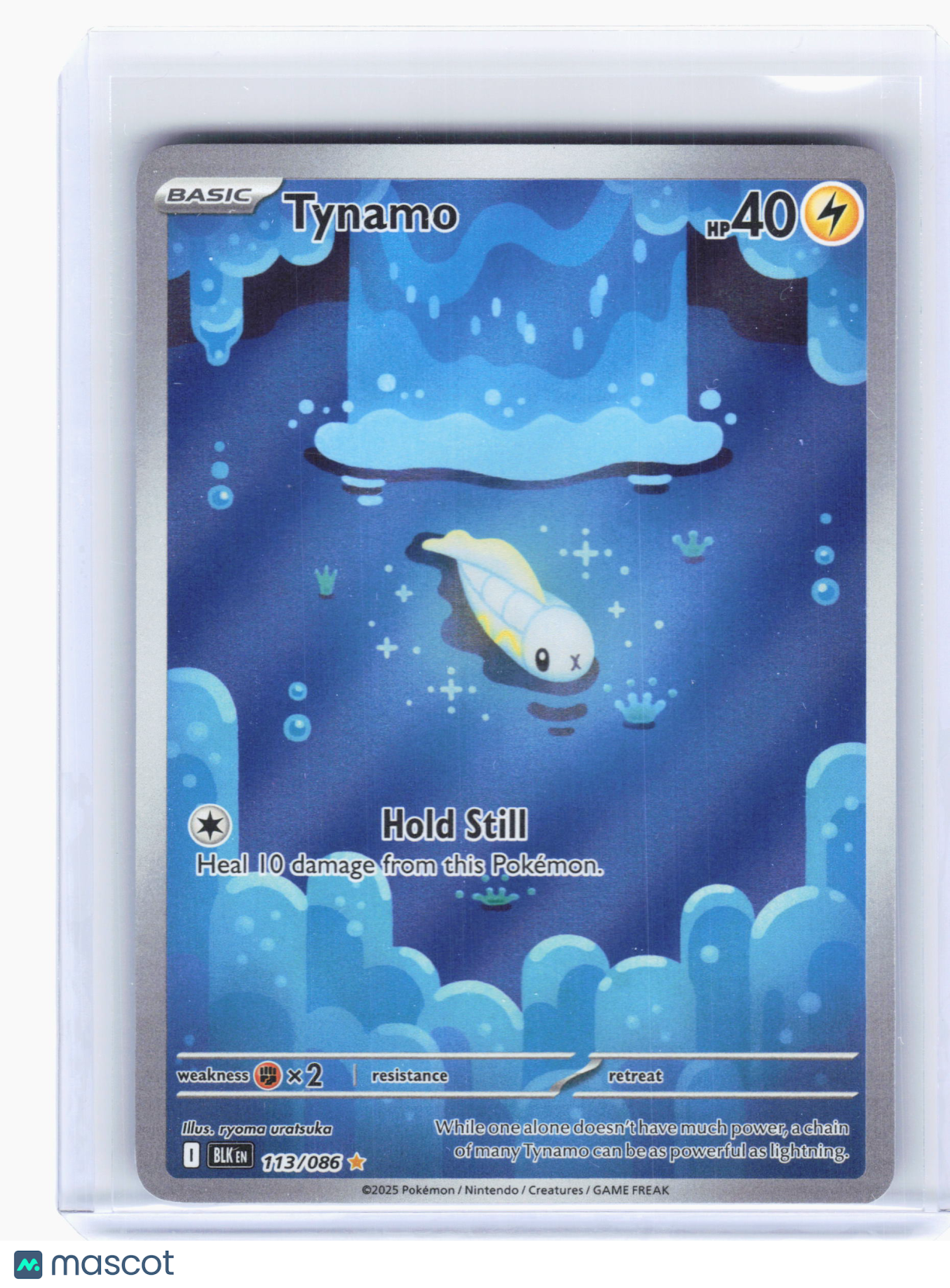 2025 Pokemon—Tynamo #113 Black Bolt—Illustration Rare Holo