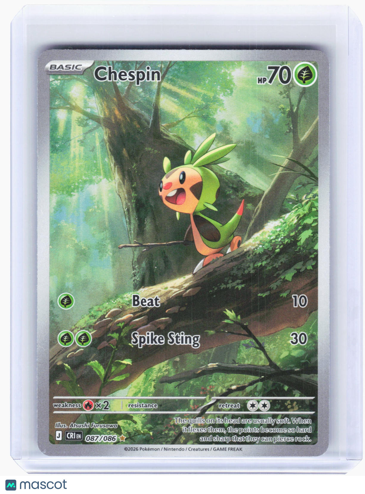 2026 Pokemon—Chespin #87 Chaos Rising—Illustration Rare Holo