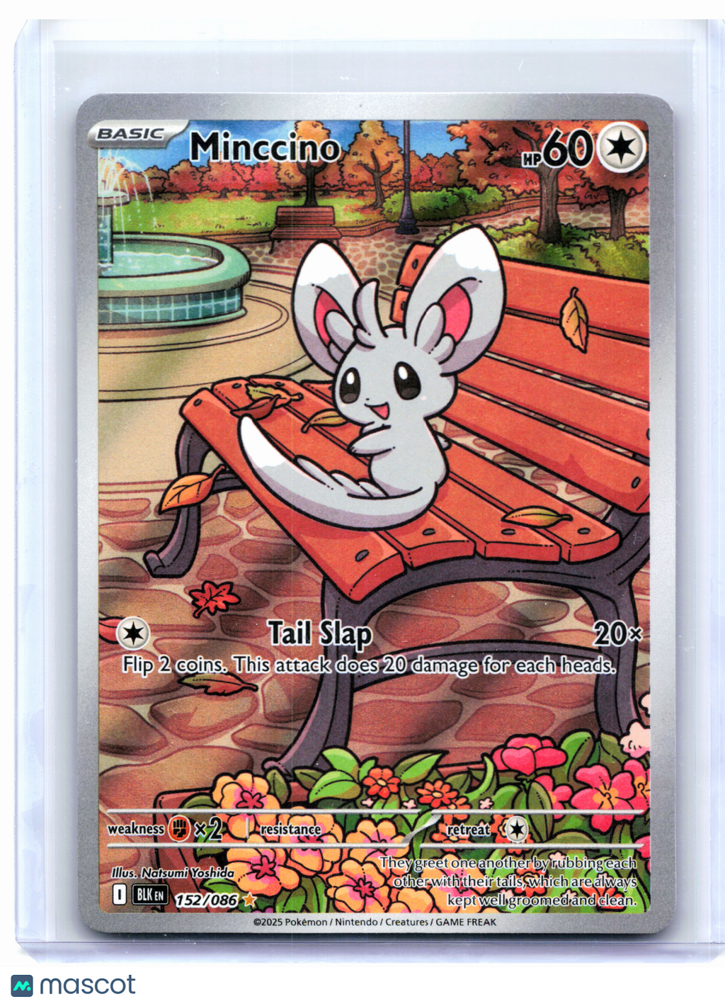 2025 Pokemon—Minccino #152/86 Black Bolt—Illustration Rare Holo [Lightly Played]