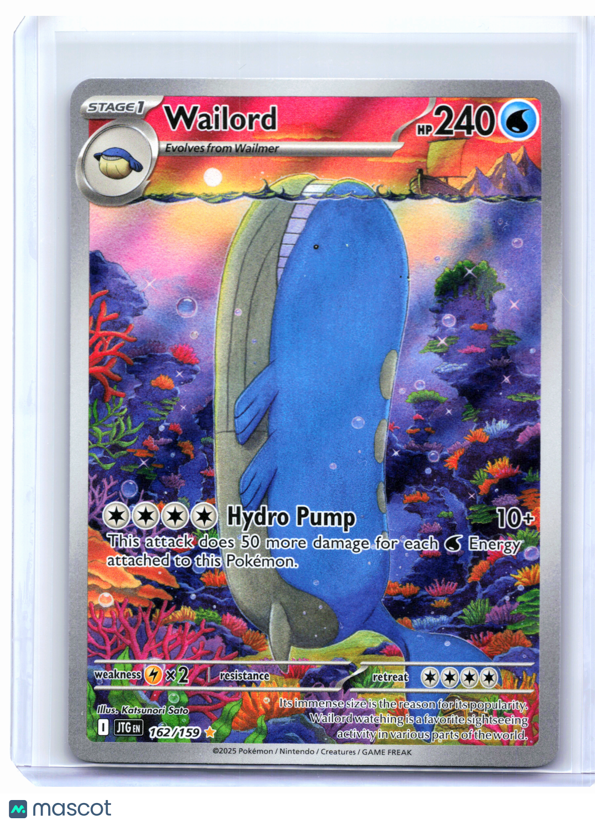 2025 Pokemon—Wailord #162/159 Journey Together—Illustration Rare Holo