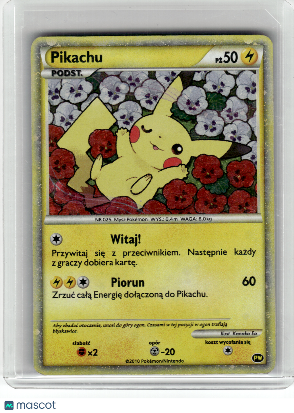 2010 Pokemon—Pikachu PW Pikachu World Collection— Holo Polish [MP] (English Back