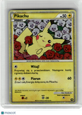 2010 Pokemon—Pikachu PW Pikachu World Collection— Holo Polish [MP] (English Back