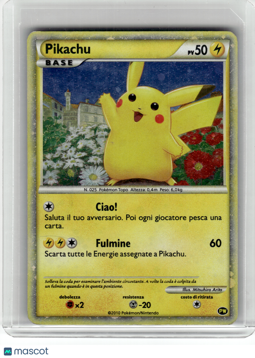 2010 Pokemon—Pikachu Pikachu World Collection— Holo Italian [MP] (English Back)