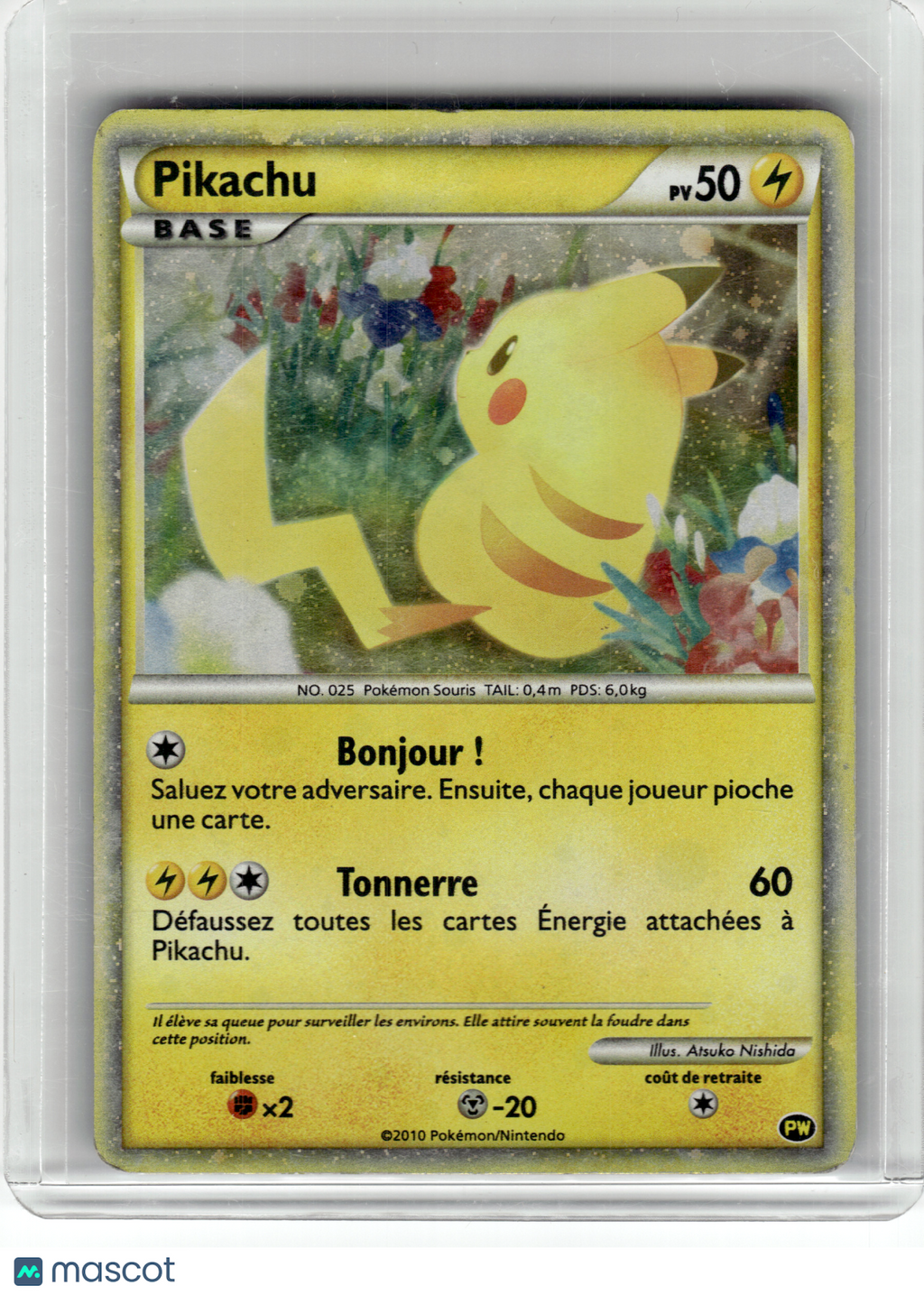 2010 Pokemon—Pikachu Pikachu World Collection— Holo French [MP] (English Back)