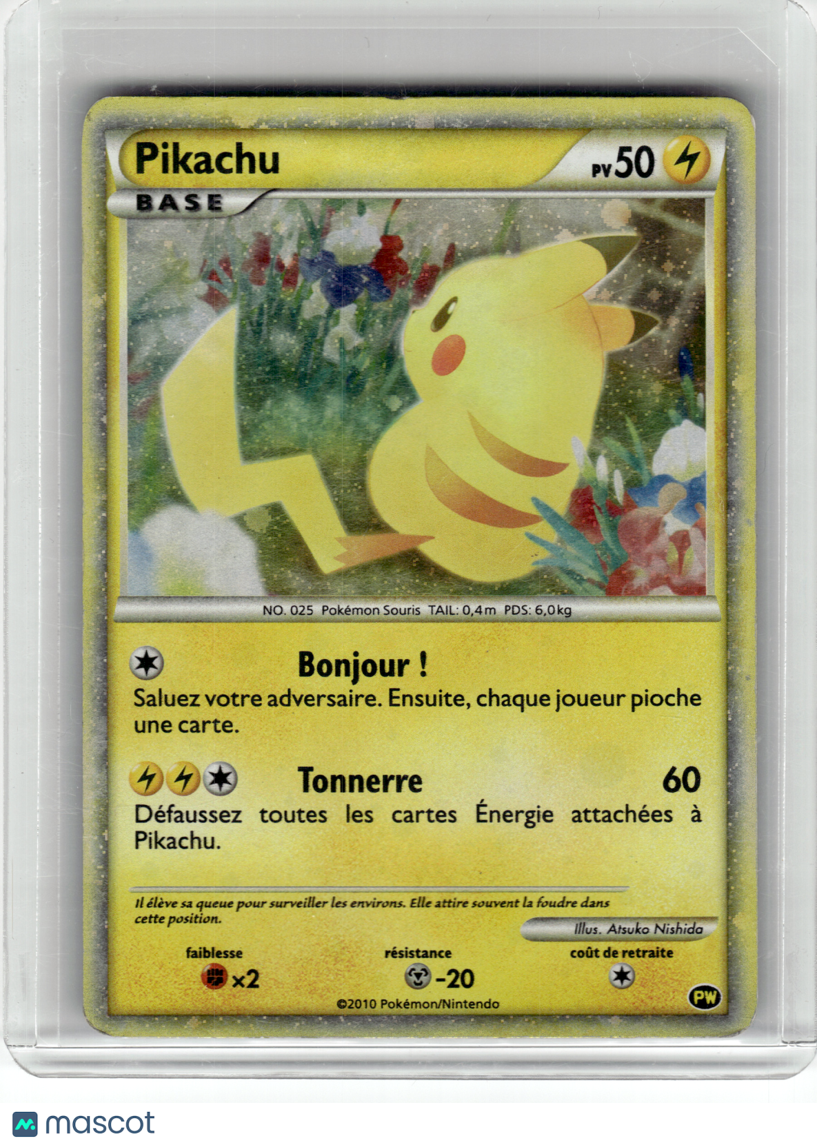 2010 Pokemon—Pikachu Pikachu World Collection— Holo French [MP] (English Back)