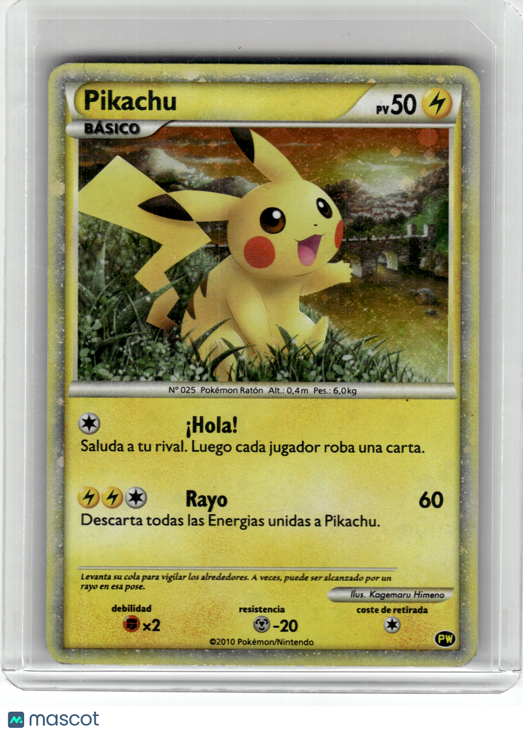 2010 Pokemon—Pikachu Pikachu World Collection—Holo Spanish [MP] (English Back)