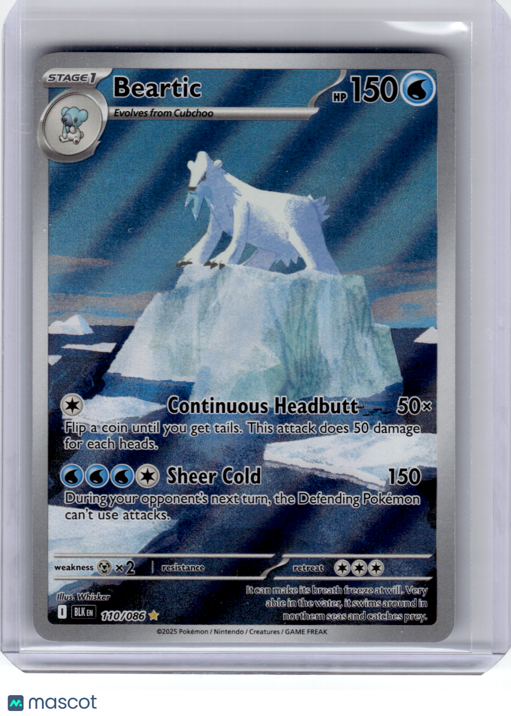 2025 Pokemon—Beartic #110 Black Bolt—Illustration Rare Holo