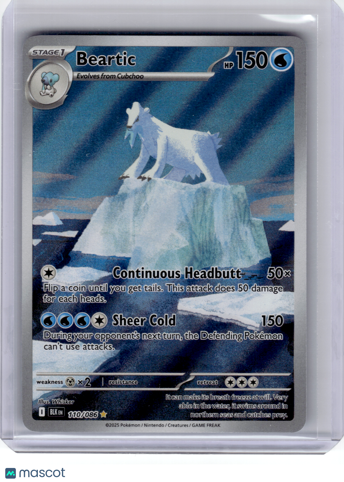 2025 Pokemon—Beartic #110 Black Bolt—Illustration Rare Holo