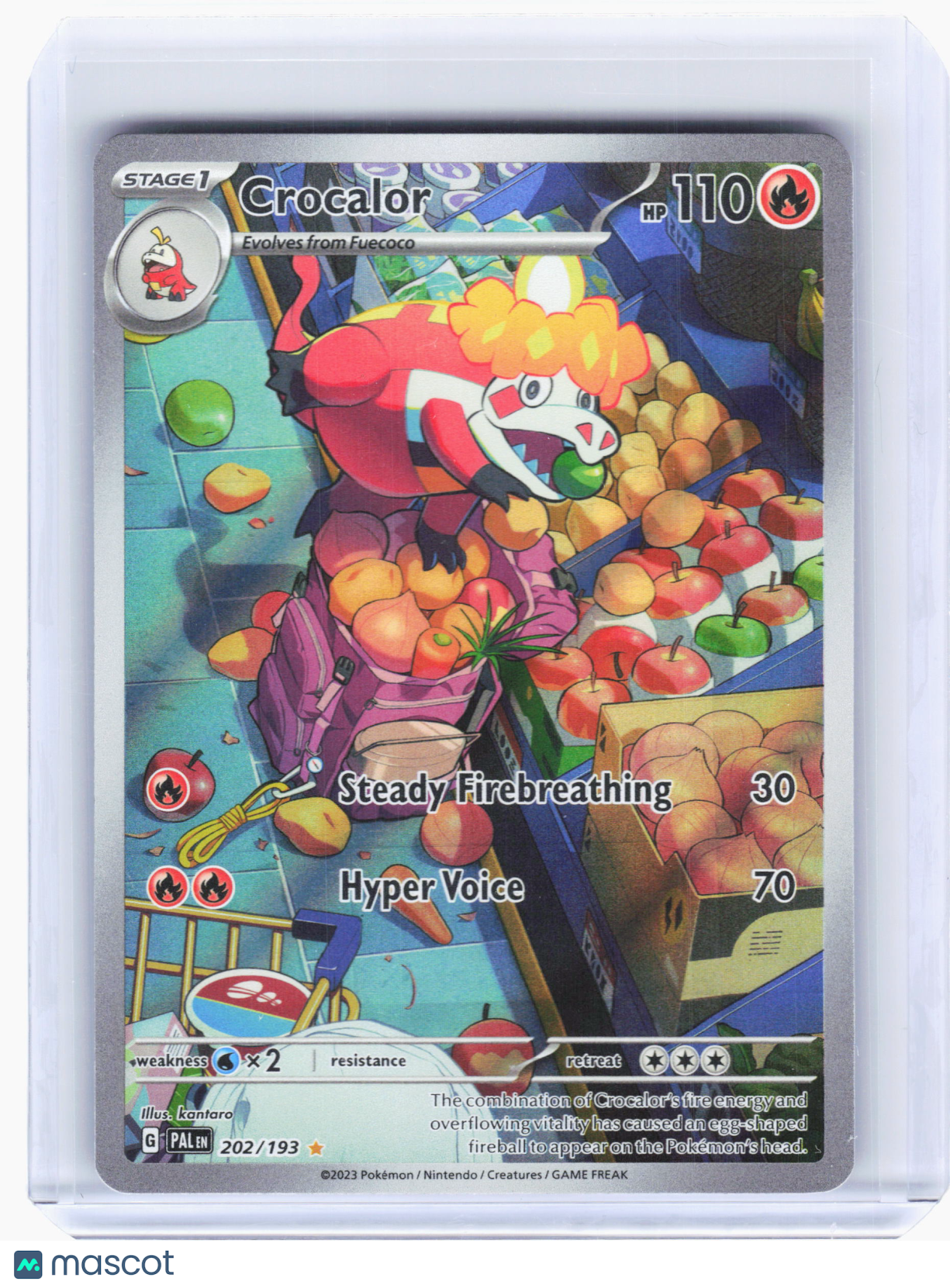 2023 Pokemon—Crocalor #202 Paldea Evolved—Illustration Rare Holo [LP]