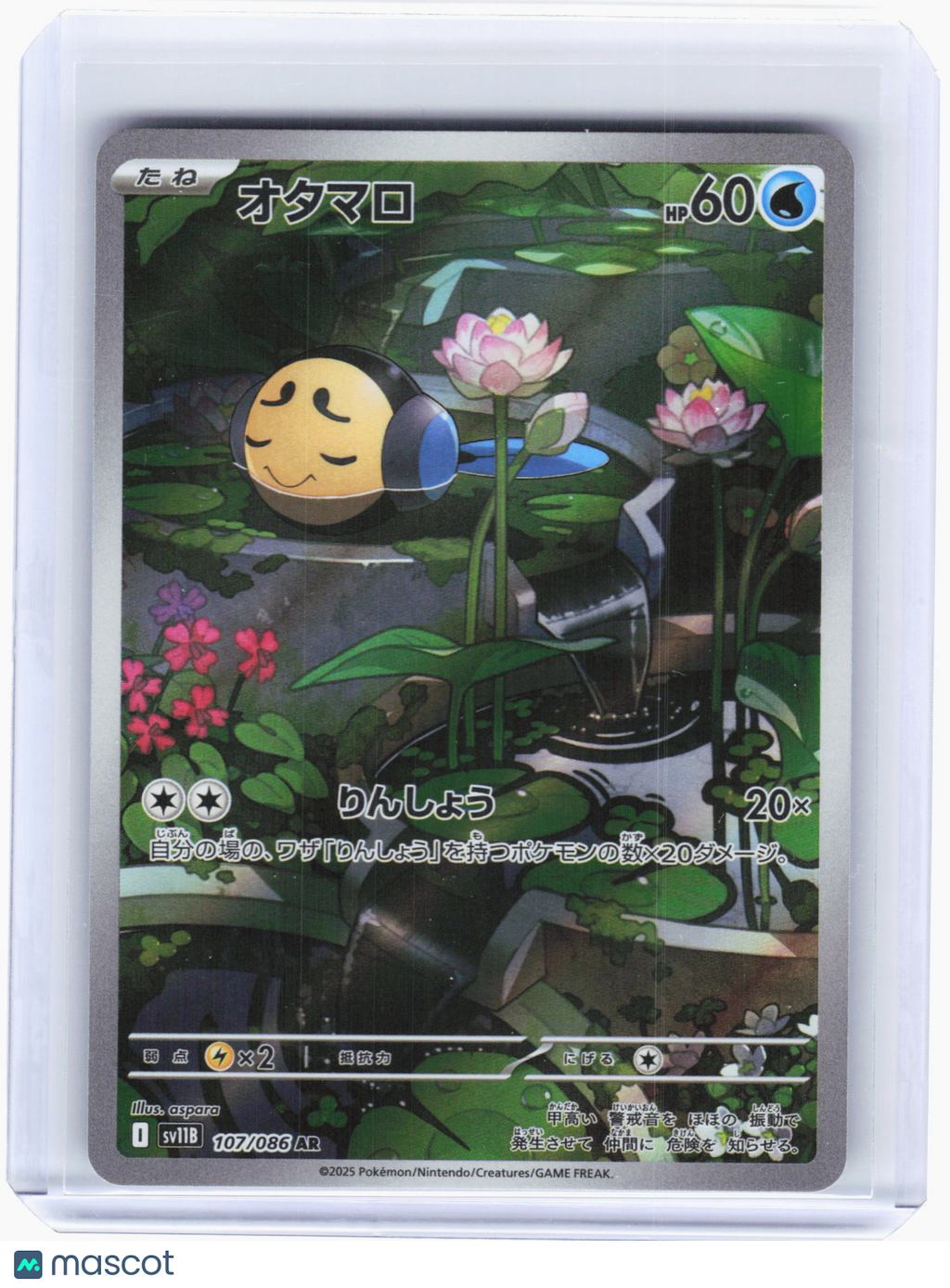 2025 Pokemon—Tympole #107 Black Bolt—Art Rare Holo Japanese