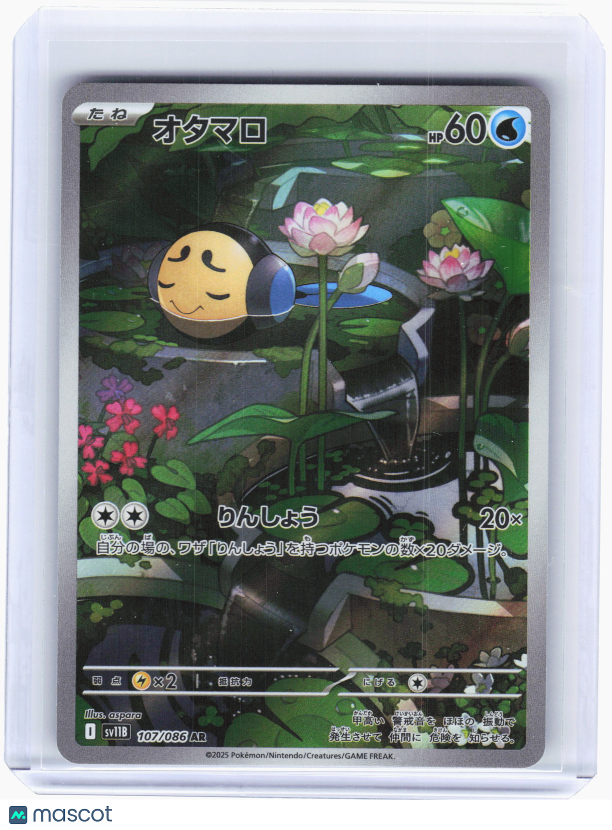2025 Pokemon—Tympole #107 Black Bolt—Art Rare Holo Japanese